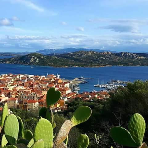 Sweet Home La Maddalena La Maddalena  Zewnętrze zdjęcie